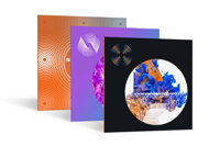iZotope RX 7 Advanced Reverb Bundle