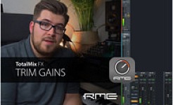 TotalMix FX for Beginners - Trim Gains